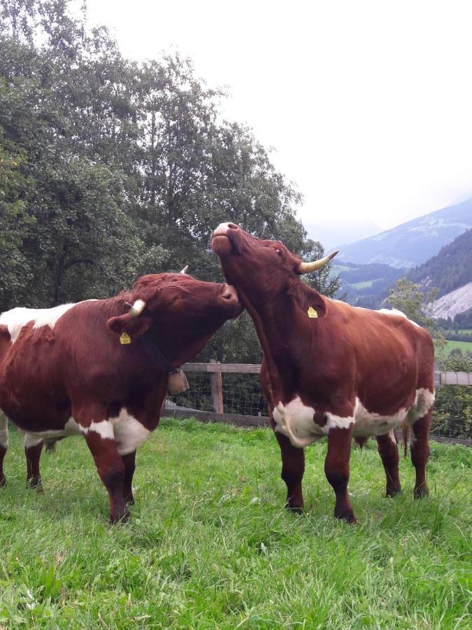 Ferienhaus Lechnerhof Schladming Εξωτερικό φωτογραφία