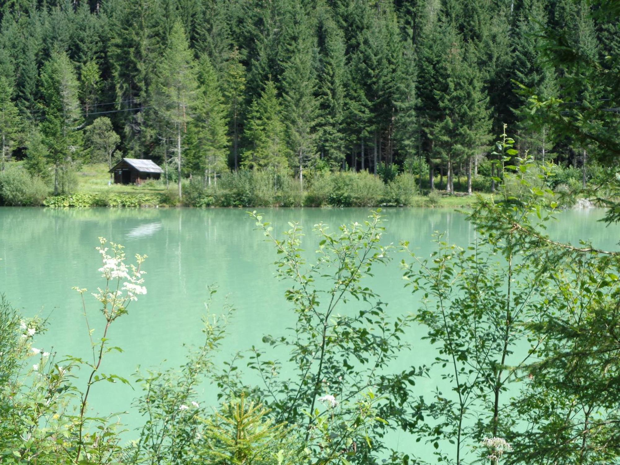 Ferienhaus Lechnerhof Schladming Εξωτερικό φωτογραφία