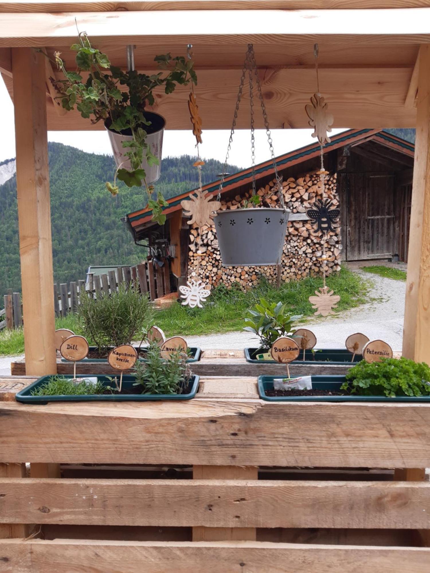 Ferienhaus Lechnerhof Schladming Εξωτερικό φωτογραφία