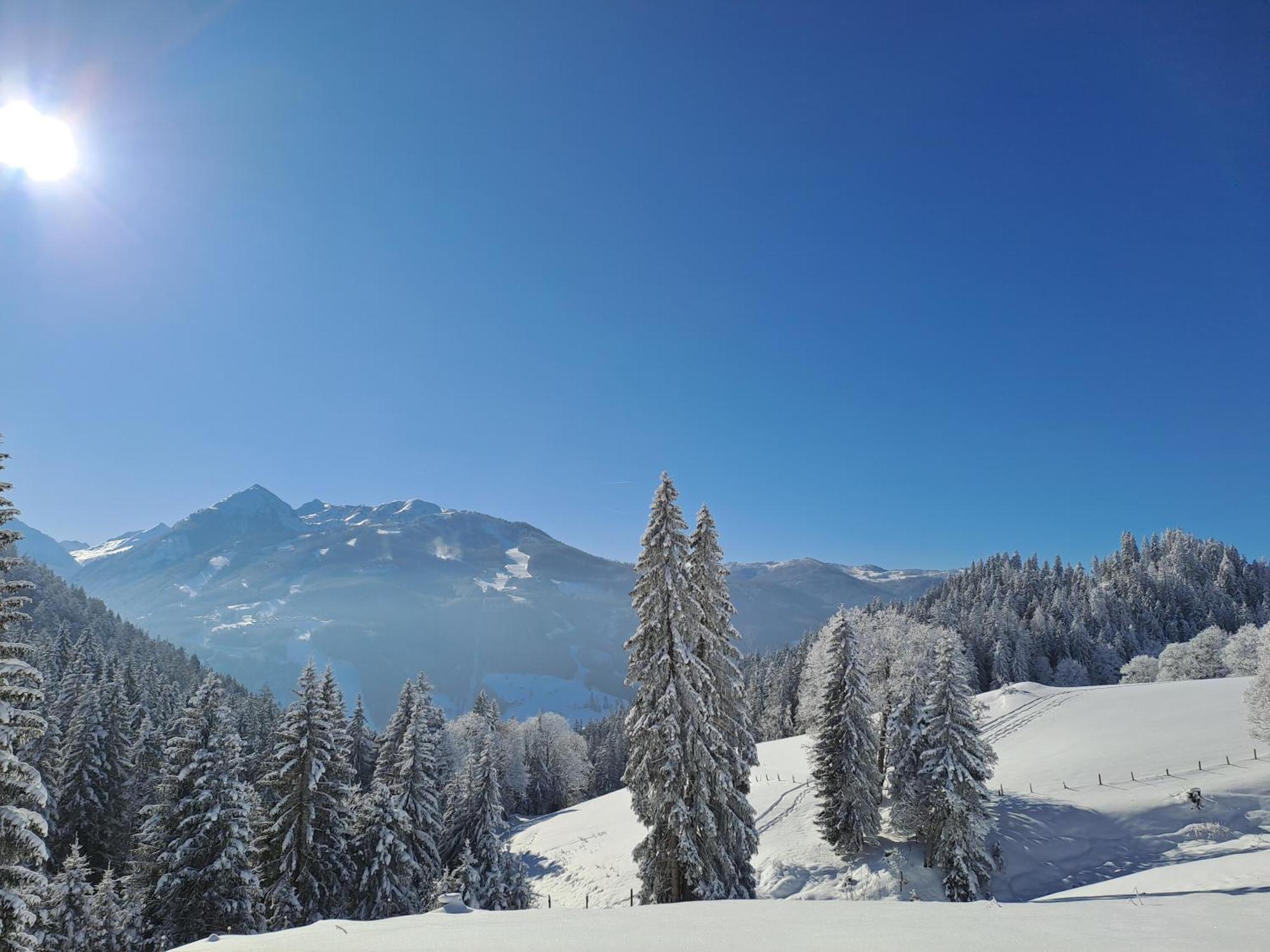 Ferienhaus Lechnerhof Schladming Εξωτερικό φωτογραφία