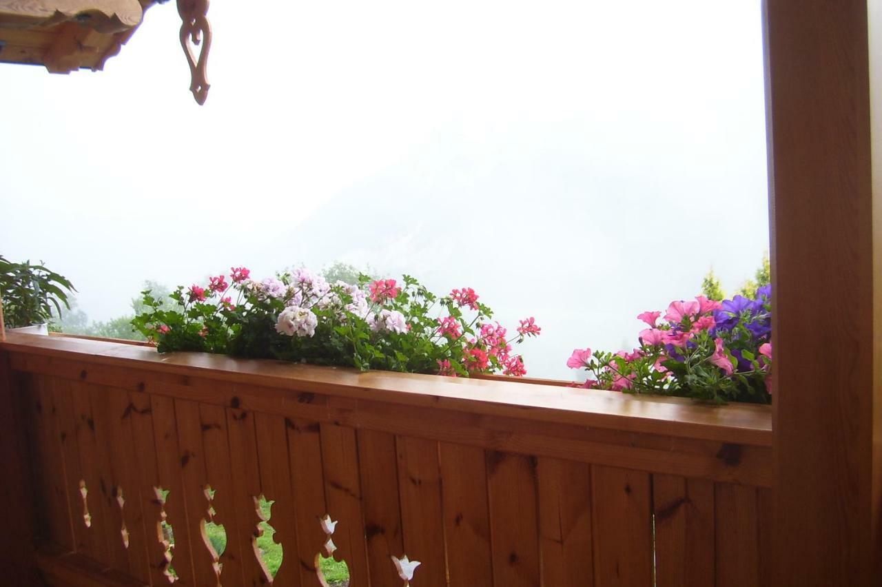 Ferienhaus Lechnerhof Schladming Εξωτερικό φωτογραφία
